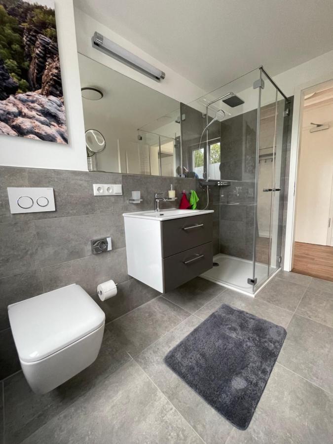 Neues Ferienhaus Kurort Gohrisch Esterno foto